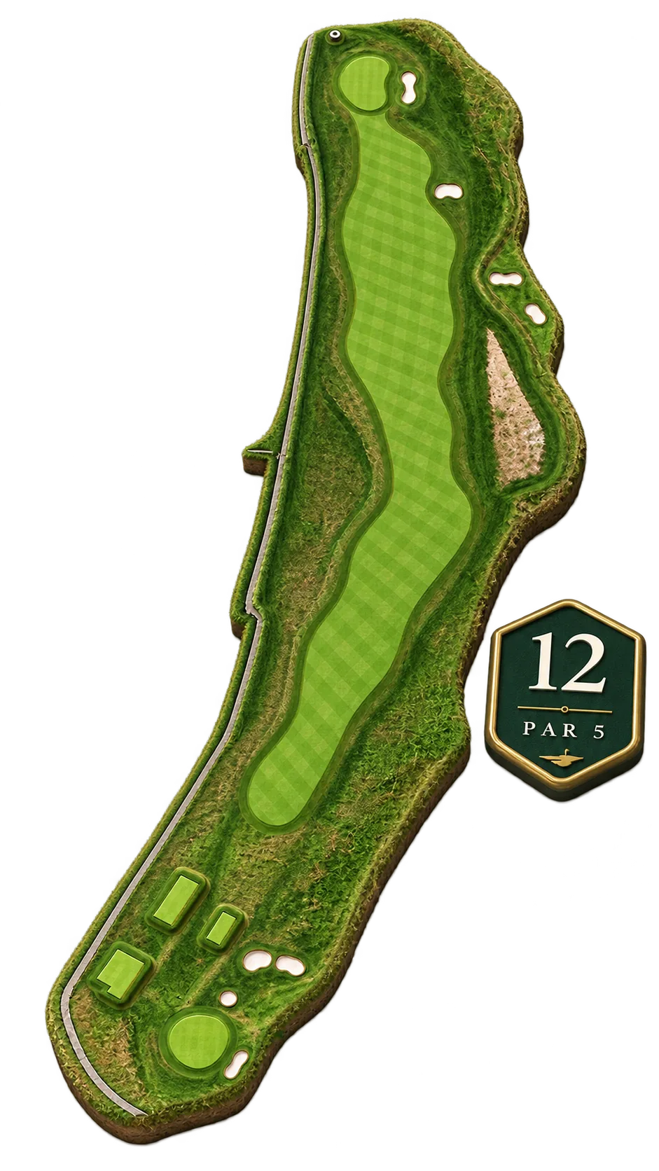 Aerial view of the 12th hole cut out from its surroundings, a long fairway winding up between rough and scattered bunkers from the tees at the foot to a green in the top corner, with a lane running the whole length of its left-hand edge, marked par 5.